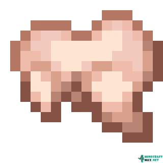 Raw Rabbit in Minecraft