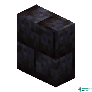 Vertical Polished Blackstone Brick Slab in Minecraft