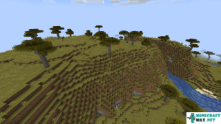 Savanna Plateau in Minecraft
