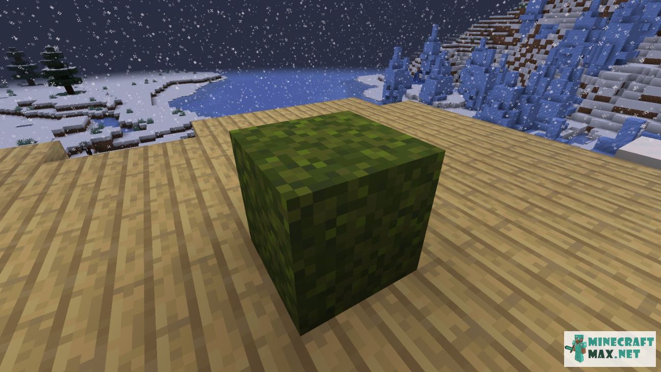 Moss Block | How to craft moss block in Minecraft | Minecraft Wiki