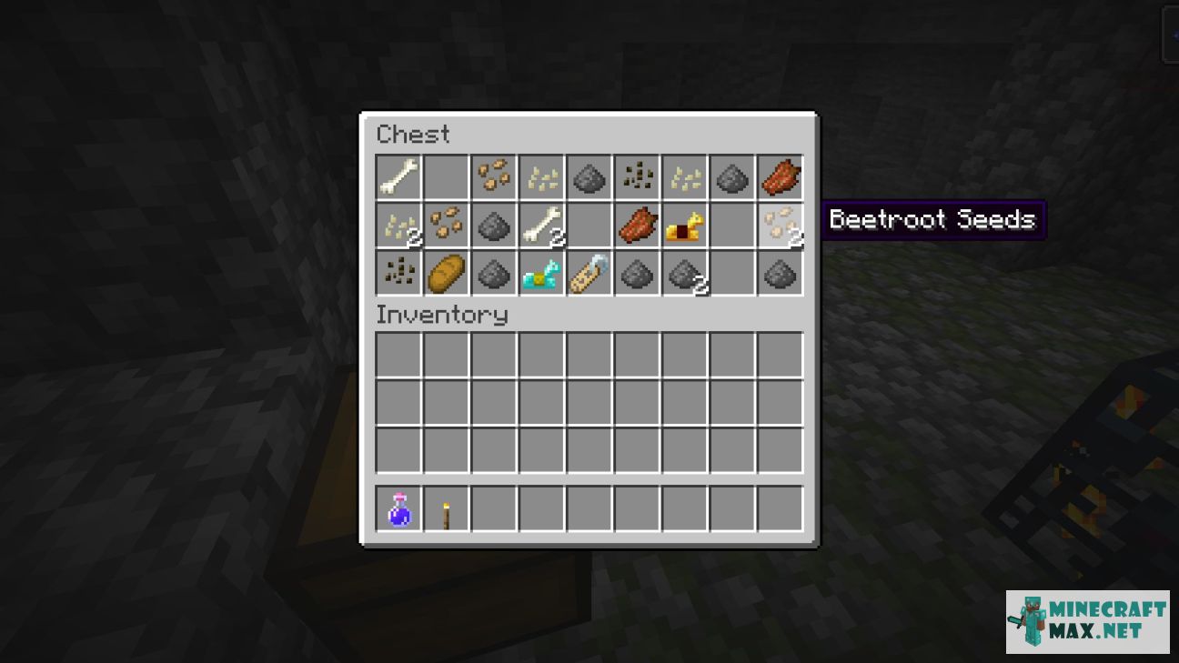 Buried treasure in Minecraft | Screenshot 3