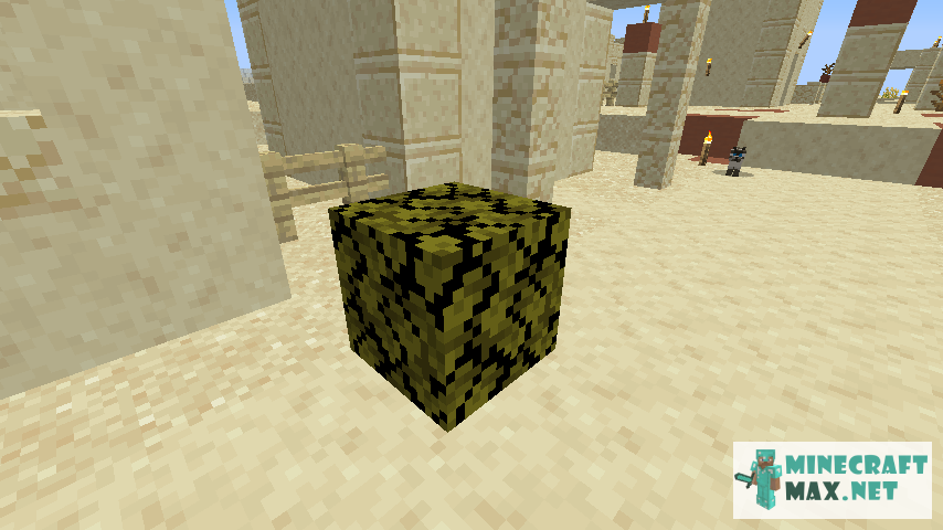 Black gem in Minecraft | Screenshot 607