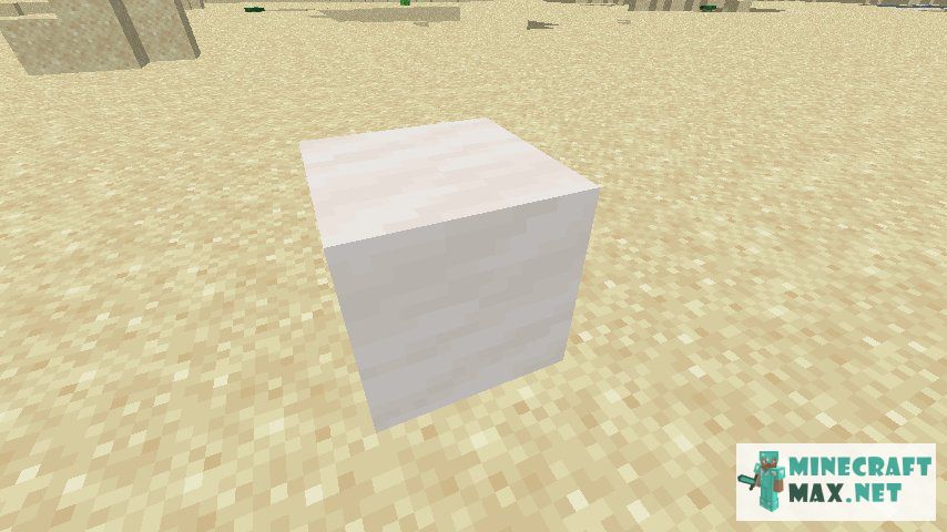 Black gem in Minecraft | Screenshot 2279