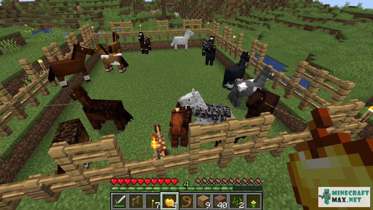 Quests Bring 7 different colors of horses for Minecraft | Screenshot 1