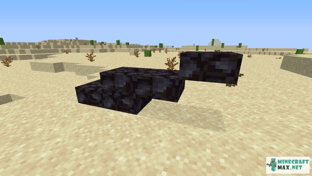Black gem in Minecraft | Screenshot 2920