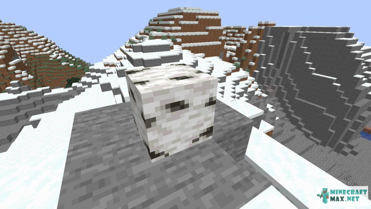 Modem in Minecraft | Screenshot 3039