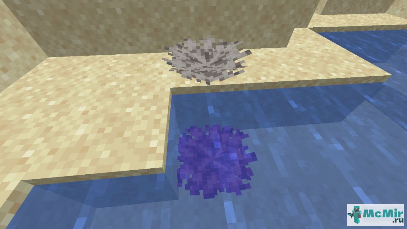 Как сделать мёртвый веерный пузырчатый коралл в Майнкрафт | Screenshot 1