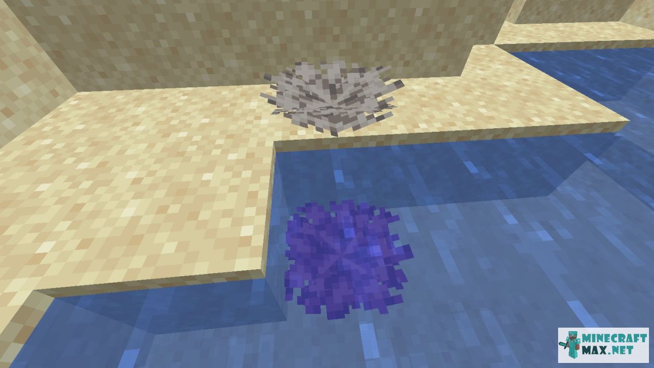 Dead Bubble Coral Fan in Minecraft | Screenshot 1