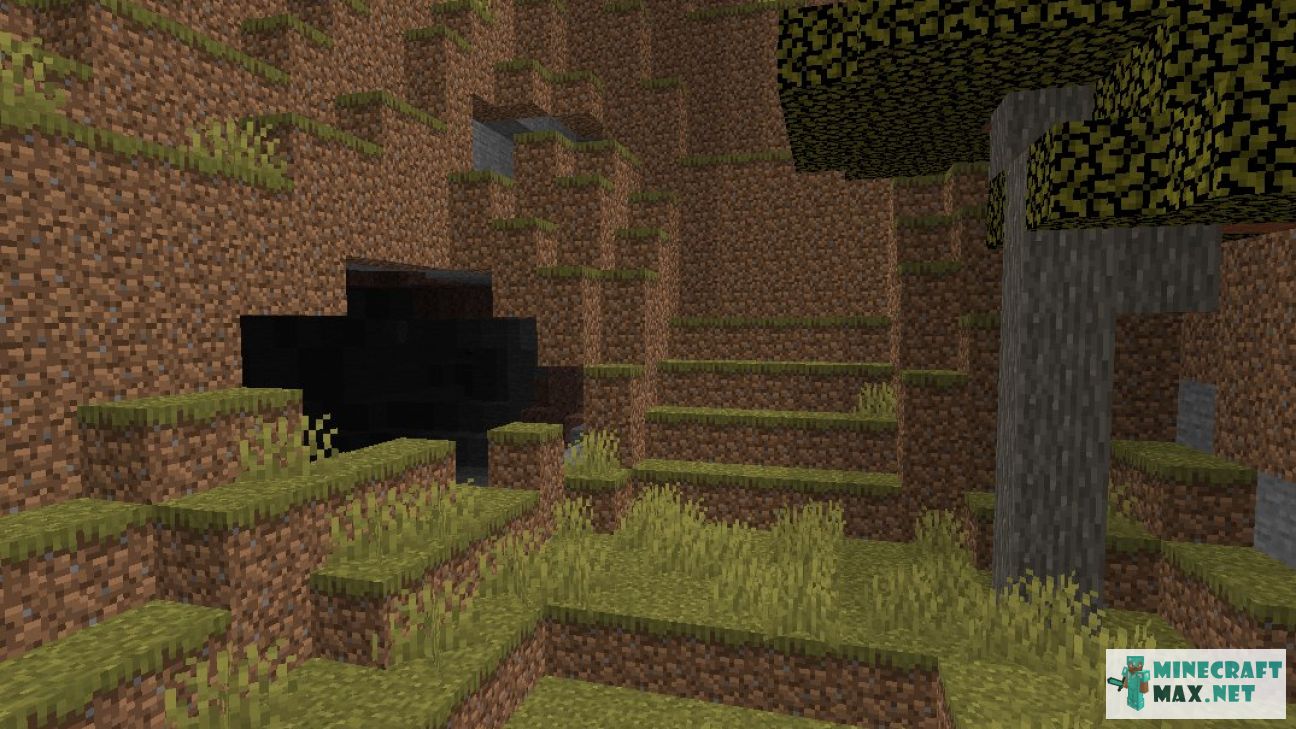 Black gem in Minecraft | Screenshot 397