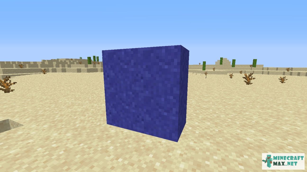 Black gem in Minecraft | Screenshot 2689