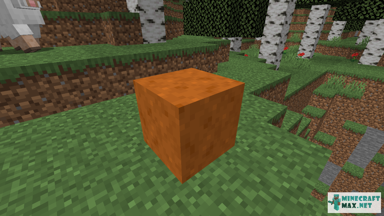 Modem in Minecraft | Screenshot 1310