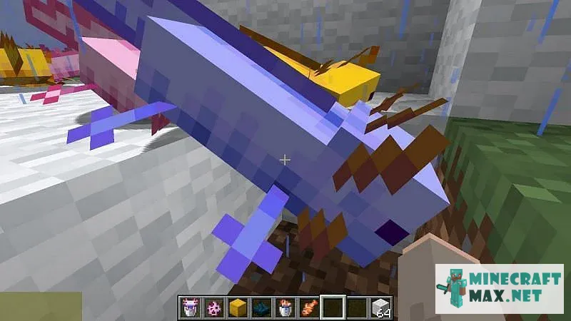 Quests Find the blue axolotl for Minecraft | Screenshot 2