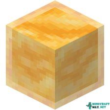 Honey Block in Minecraft
