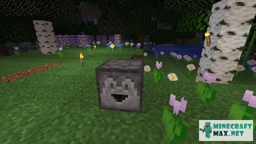 Modem in Minecraft | Screenshot 169