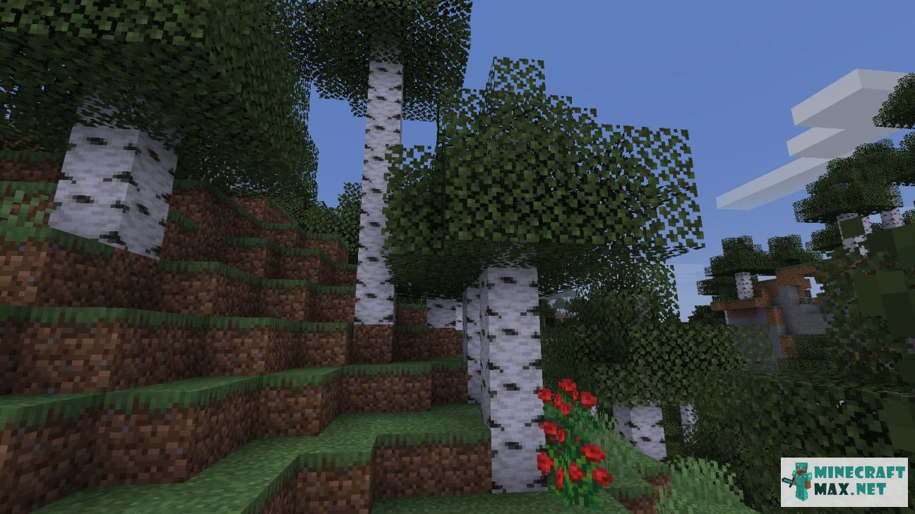 Modem in Minecraft | Screenshot 3597