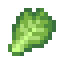 Cabbage Leaf in Minecraft