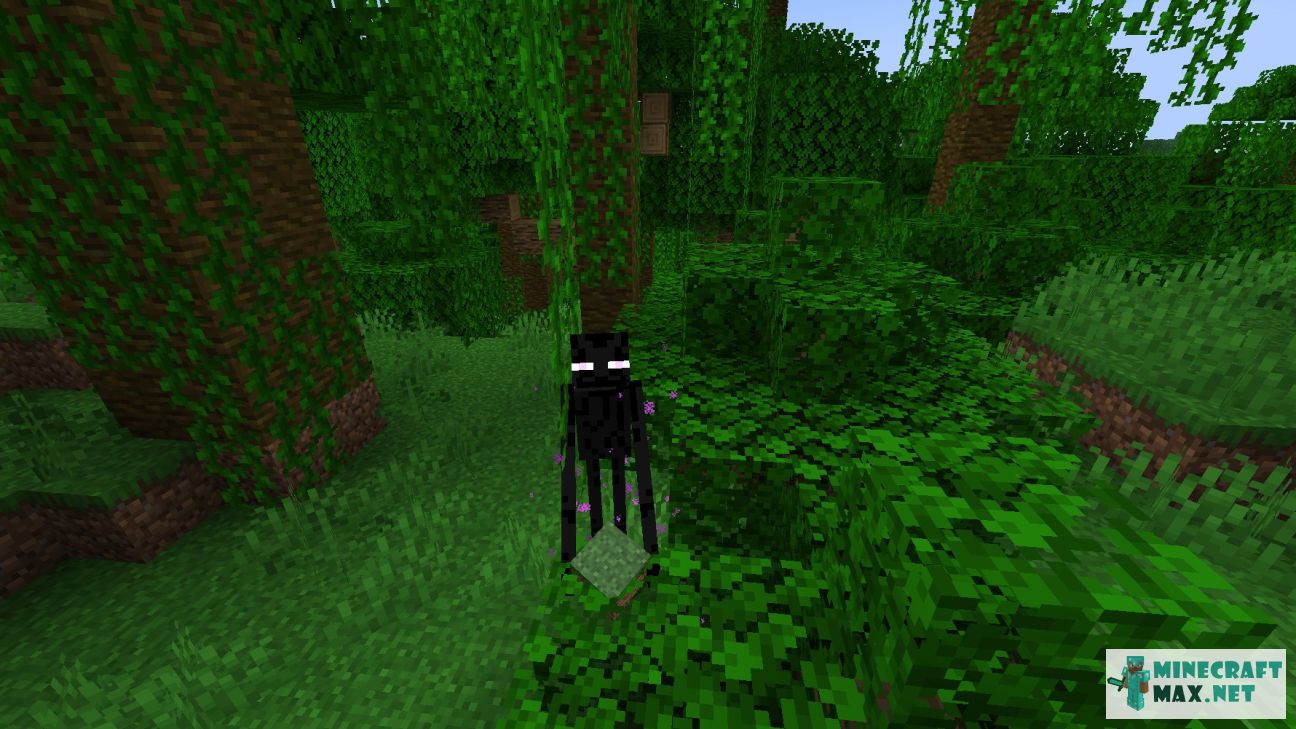 Black gem in Minecraft | Screenshot 867