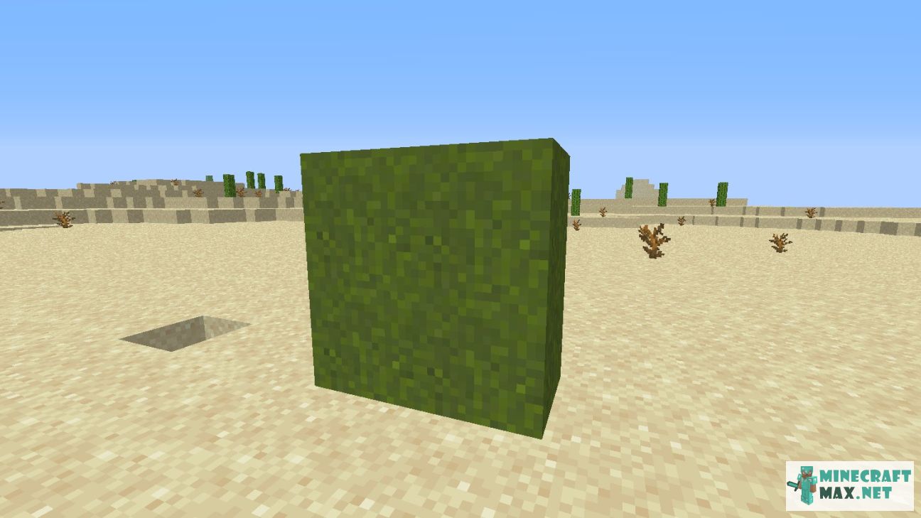 Modem in Minecraft | Screenshot 2703