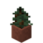 Potted Spruce Sapling in Minecraft