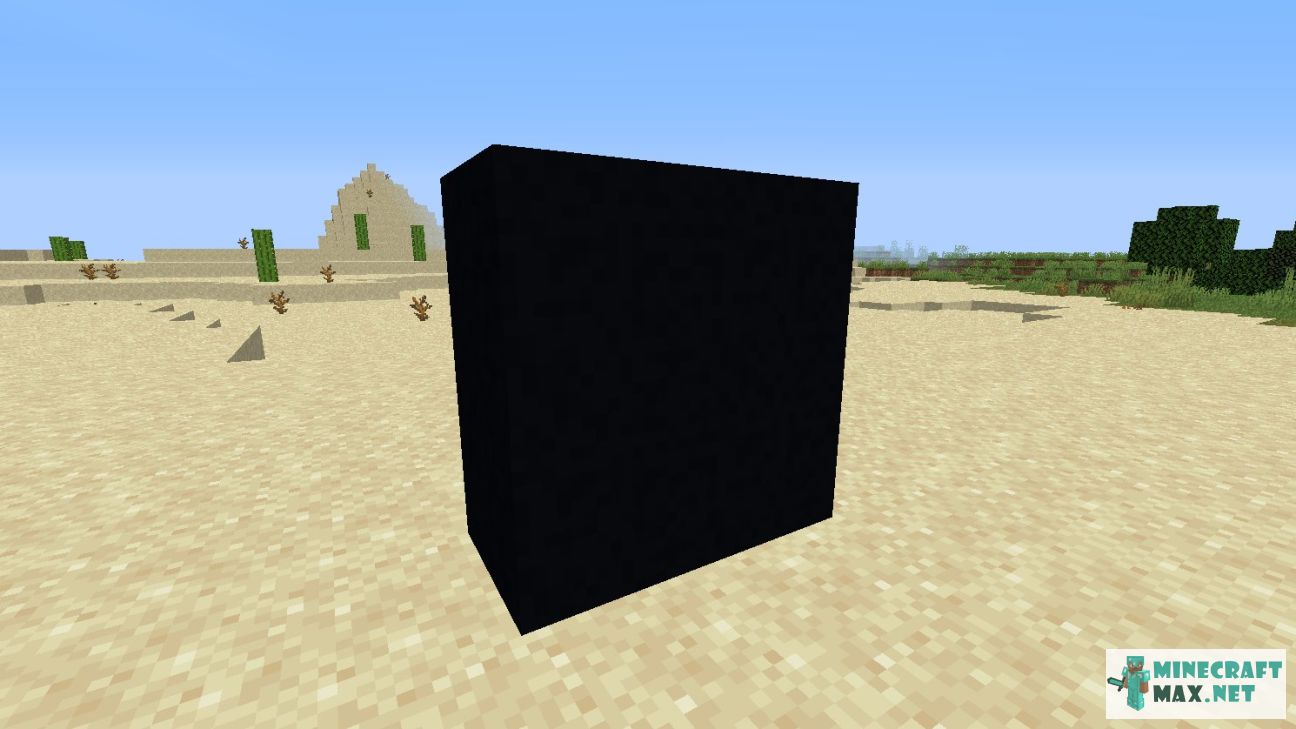 Black gem in Minecraft | Screenshot 2683