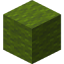 Green Wool in Minecraft