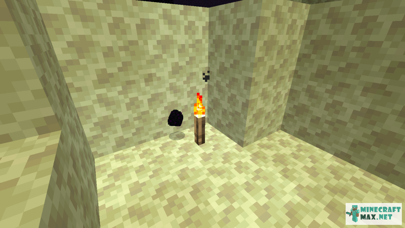 Black gem in Minecraft | Screenshot 568