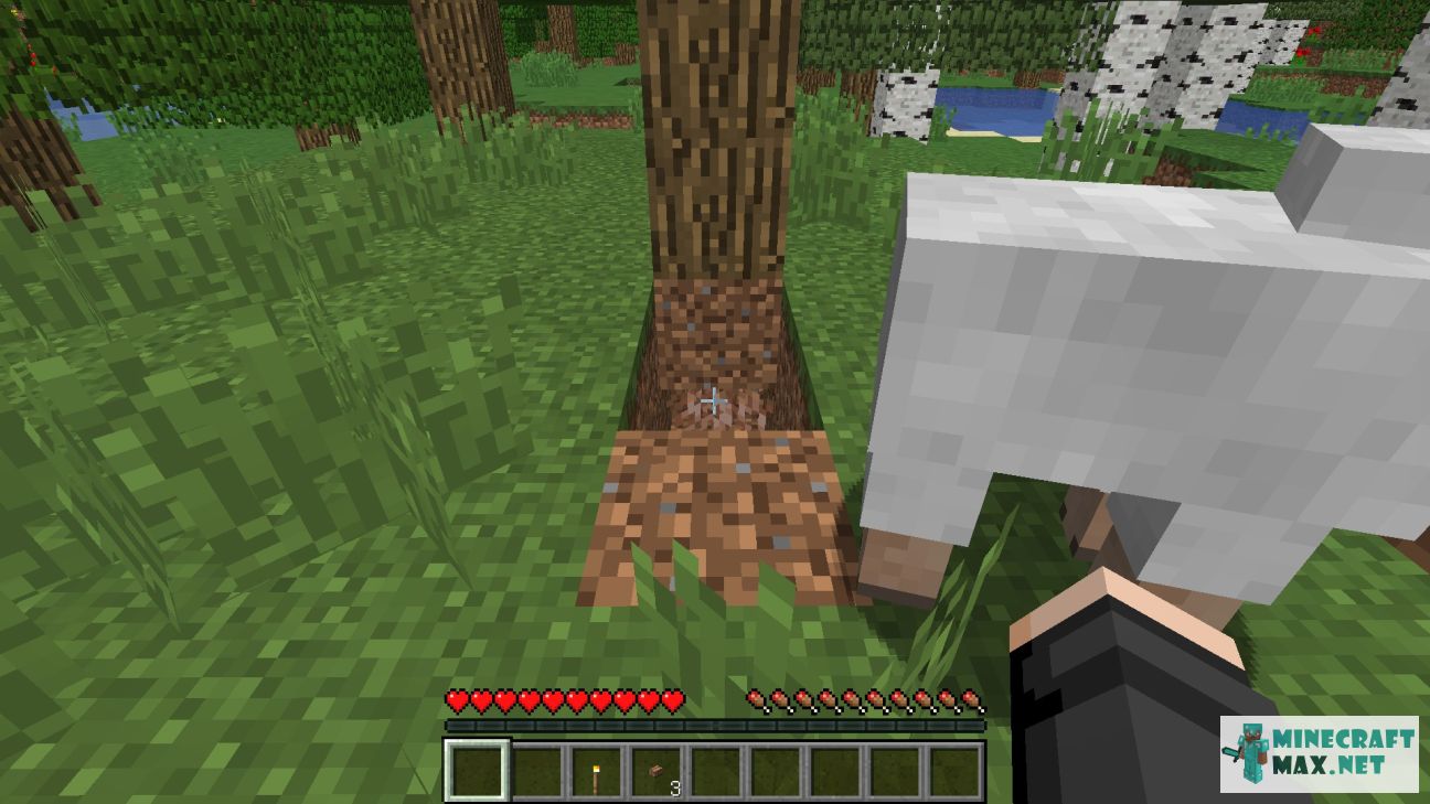 Veiciet uzdevumu Найти корни под деревом азалии programmā Minecraft | Screenshot 3