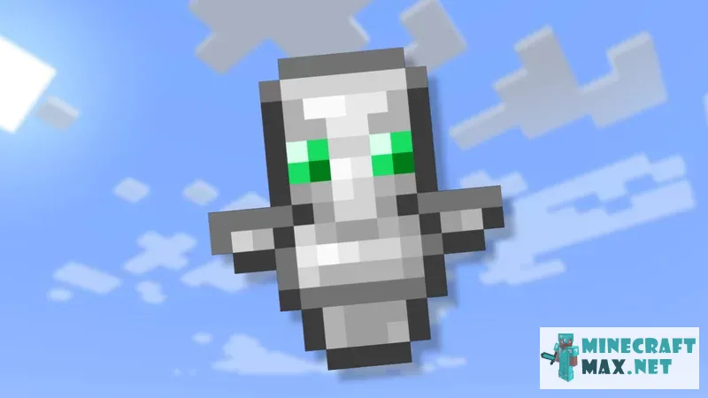Silver illager Totem | Download texture for Minecraft: 1