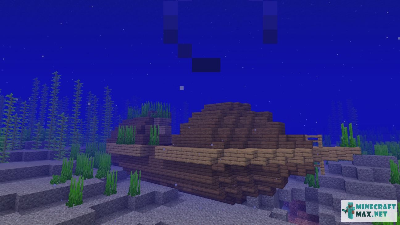 Black gem in Minecraft | Screenshot 1719