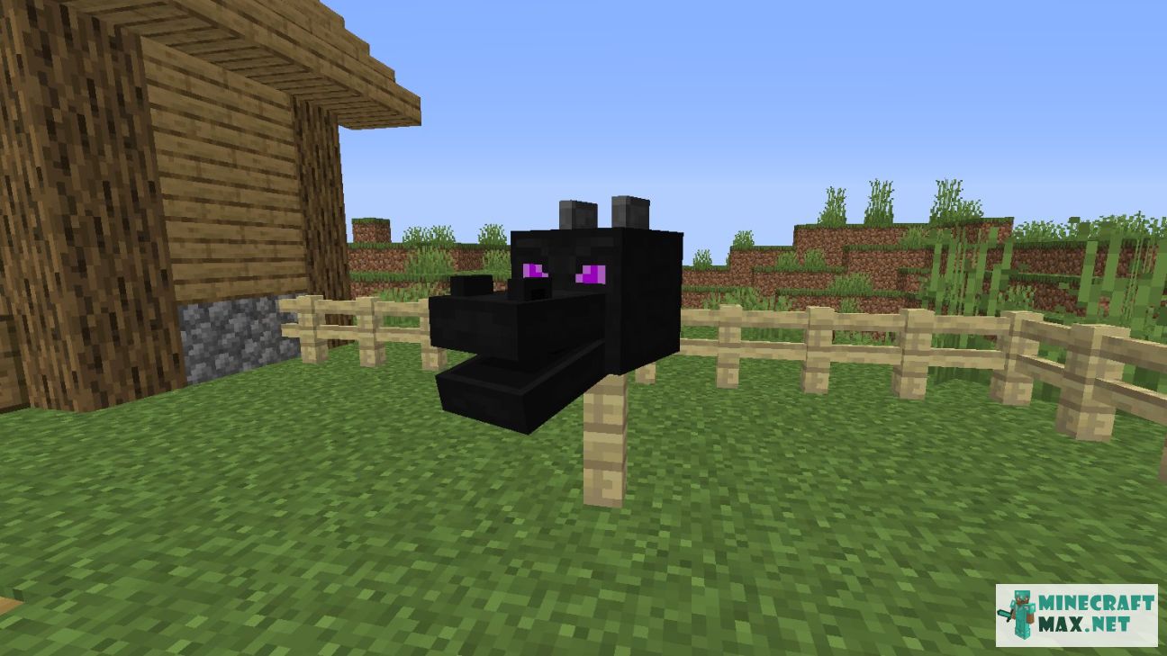 Modem in Minecraft | Screenshot 1629