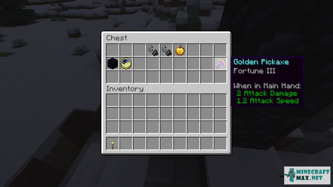 Black gem in Minecraft | Screenshot 3098