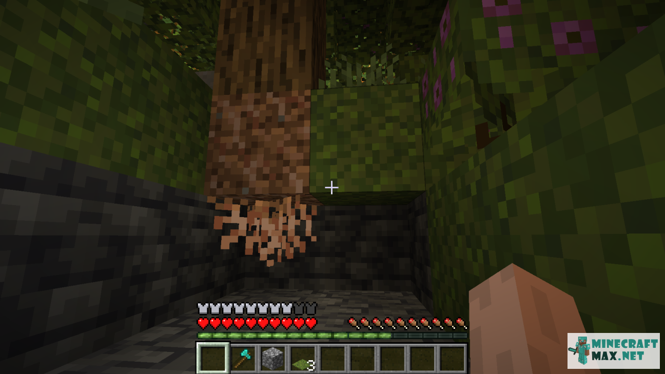 Veiciet uzdevumu Найти корни под деревом азалии programmā Minecraft | Screenshot 4