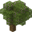 Azalea (tree) in Minecraft