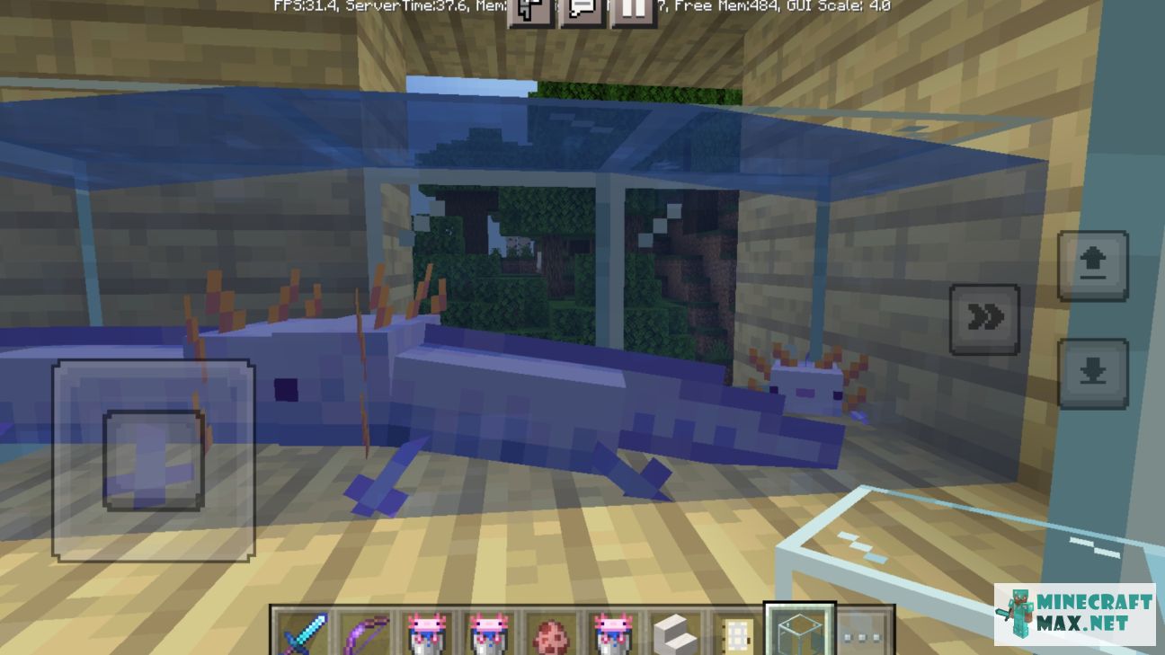 Quests Find the blue axolotl for Minecraft | Screenshot 1