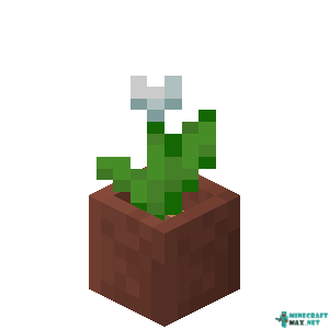 Potted White Tulip in Minecraft