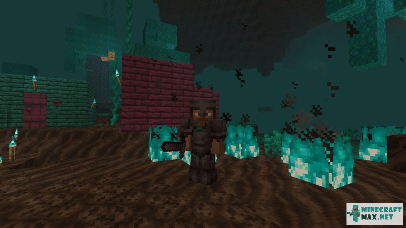 Black gem in Minecraft | Screenshot 2995