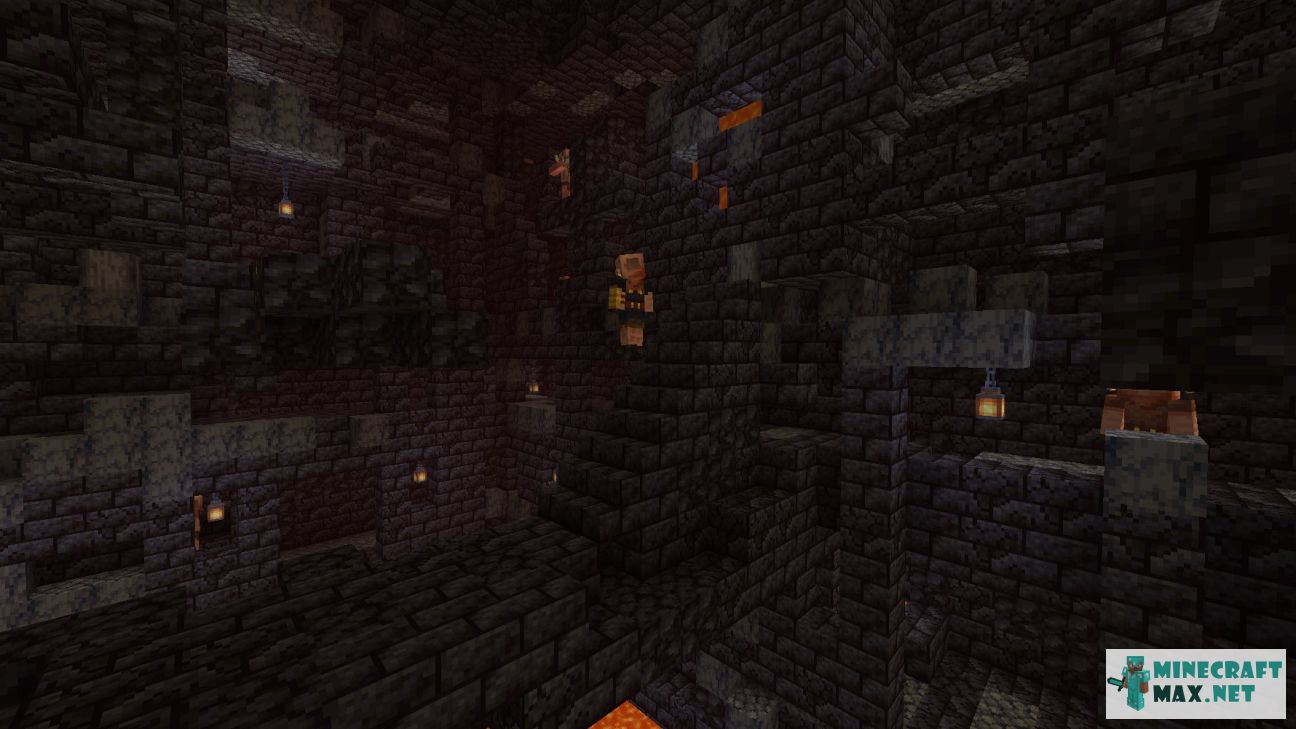 Black gem in Minecraft | Screenshot 3072