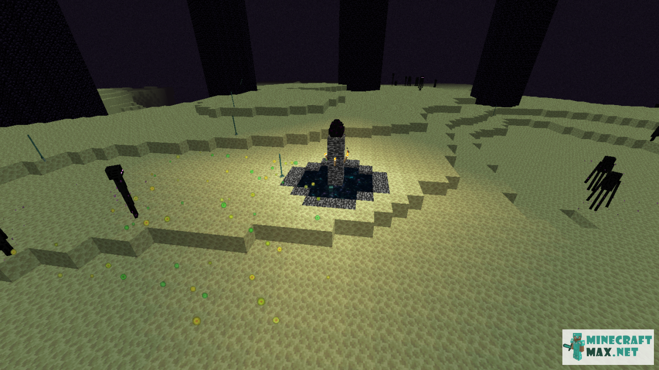 Black gem in Minecraft | Screenshot 1034