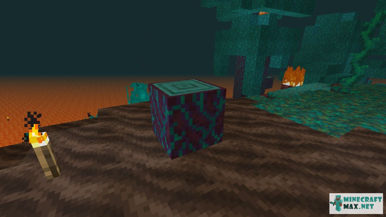 Modem in Minecraft | Screenshot 3010