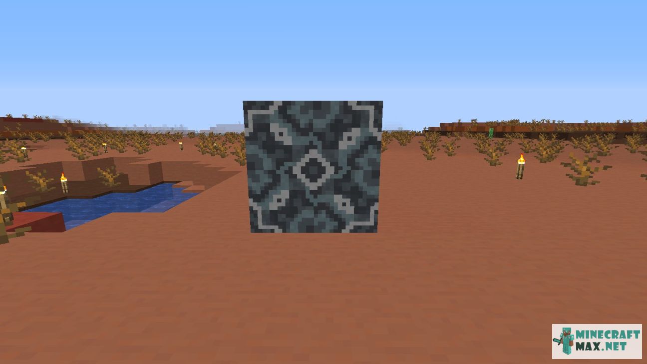 Black gem in Minecraft | Screenshot 2315