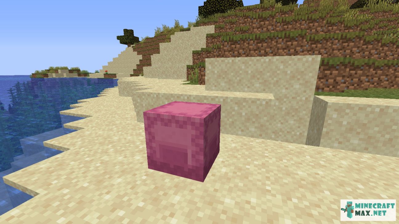 Pink Shulker Box in Minecraft | Screenshot 2