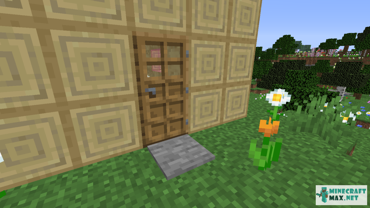 Modem in Minecraft | Screenshot 536