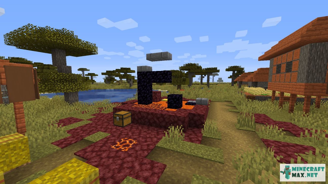 Black gem in Minecraft | Screenshot 3095