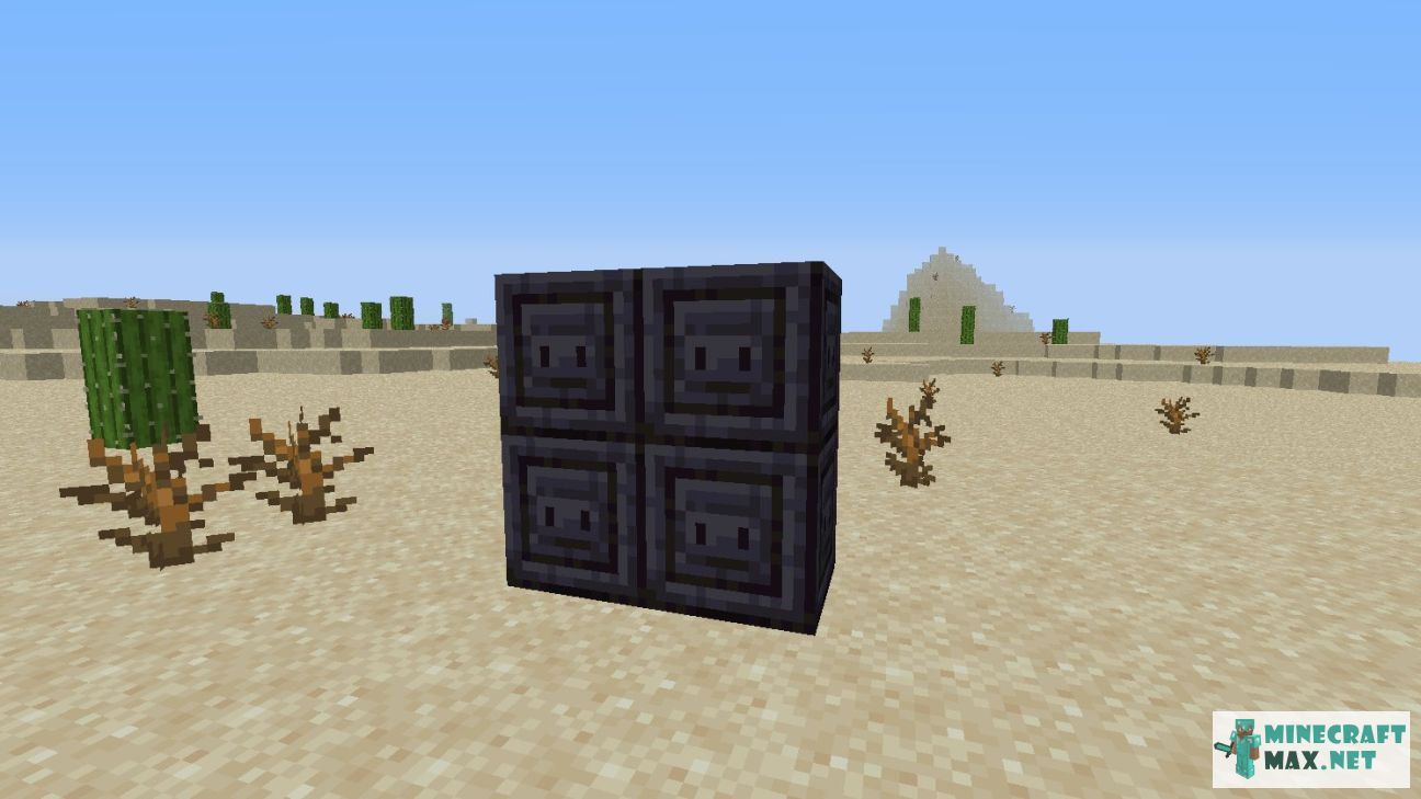Black gem in Minecraft | Screenshot 2930