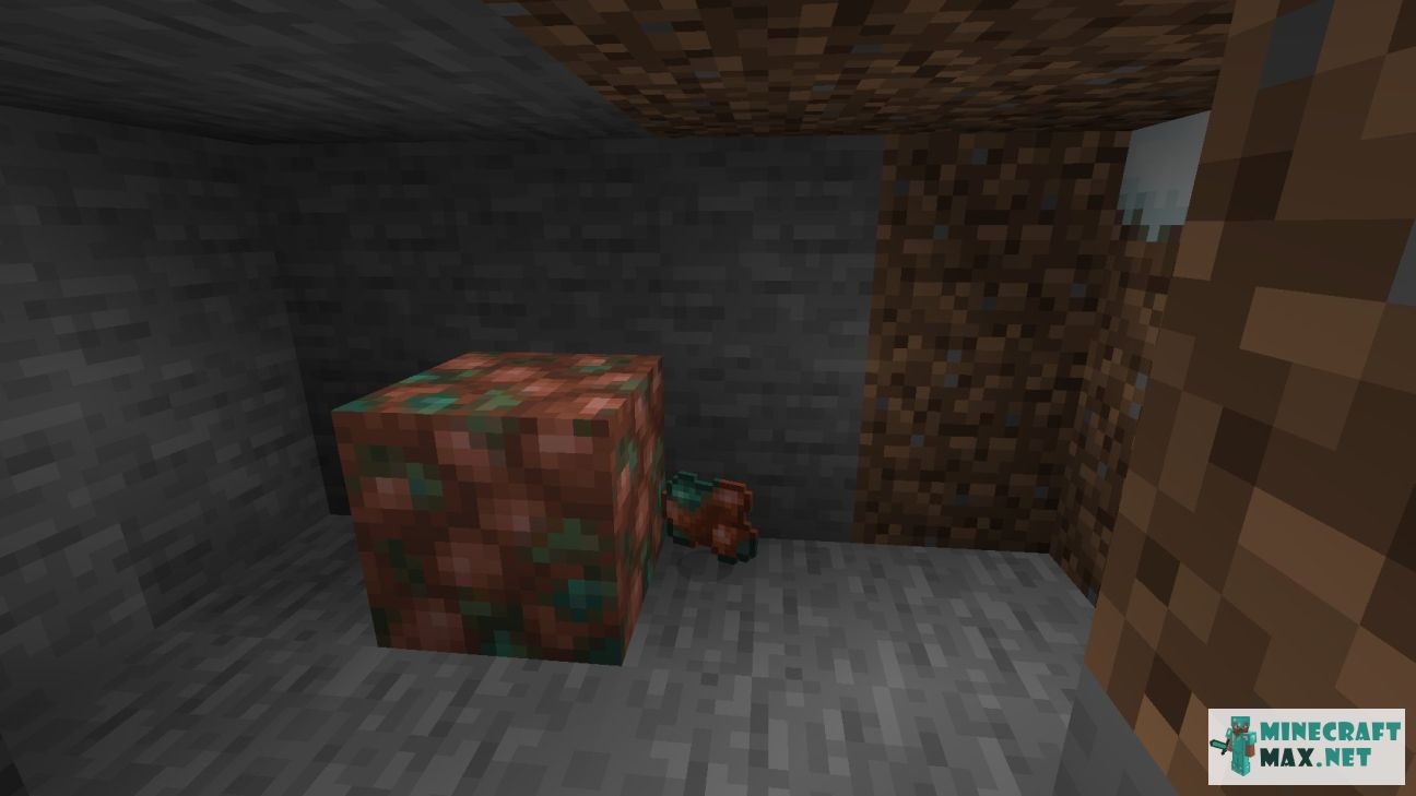 Modem in Minecraft | Screenshot 3440