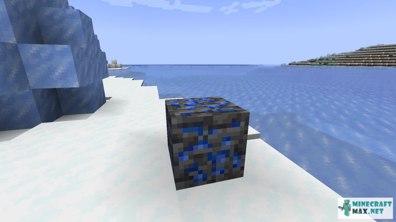 Black gem in Minecraft | Screenshot 3270