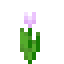Pink Tulip in Minecraft