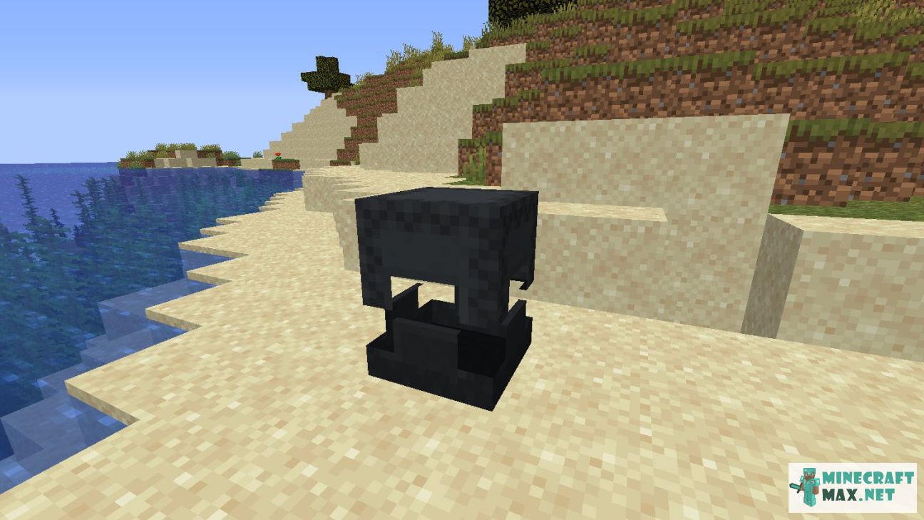 Black gem in Minecraft | Screenshot 2781