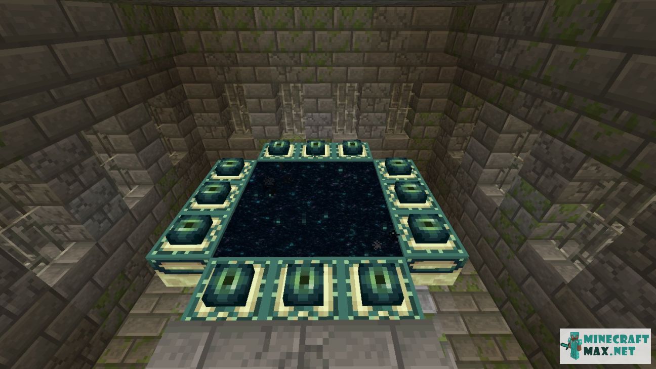 Black gem in Minecraft | Screenshot 2960