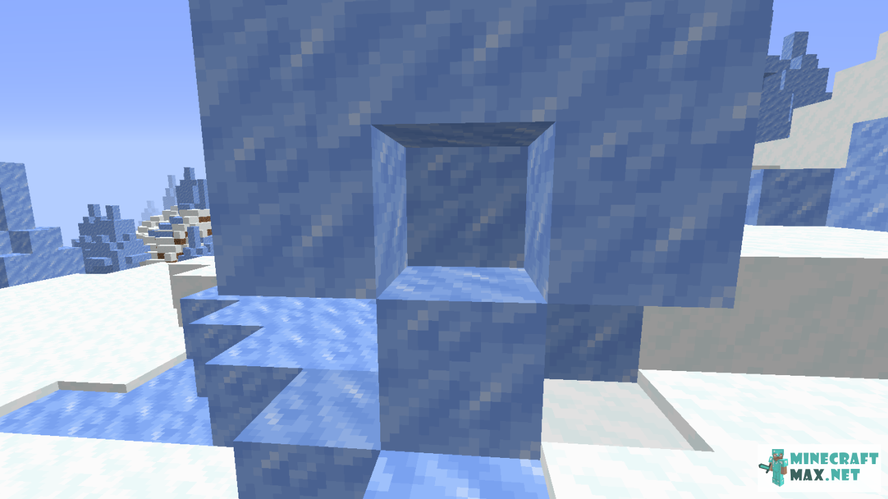 Black gem in Minecraft | Screenshot 618